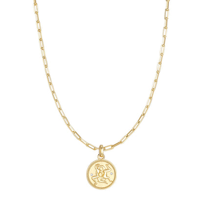 Twelve Constellation Series Constellation Image Necklace